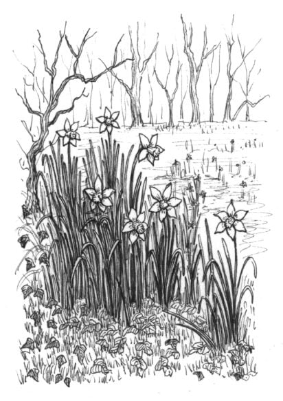 A Countryman's Spring Notebook