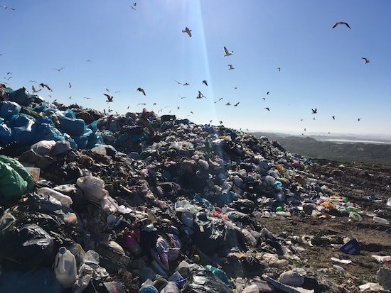 CoastalParkLandfill | GREEN HOME Piles of trash with birds flying above