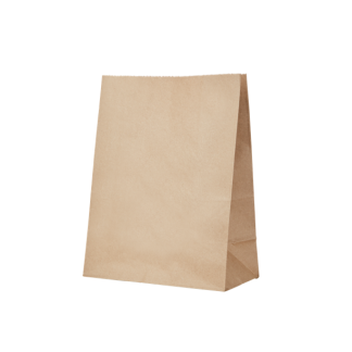 10 Medium Shopper Kraft Gusseted Bag