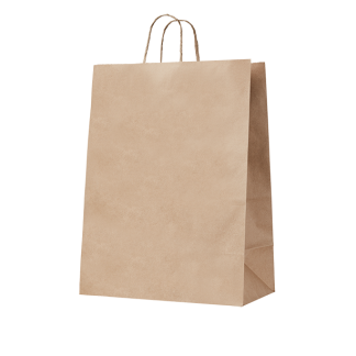 12 90gsm Handypack Kraft Gusseted Bag with Paper Twist Handles copy