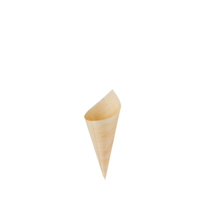 Wooden Cone 2