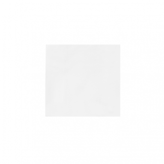 Single Ply Sugarcane Fibre Serviette