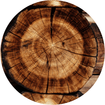 wood 1