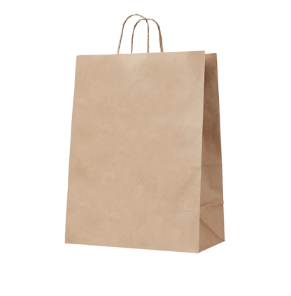13 120gsm Handypack Kraft Gusseted Bag with Paper Twist Handles