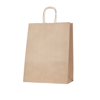 15 90gsm Large Kraft Gusseted Bag with Paper Twist Handles