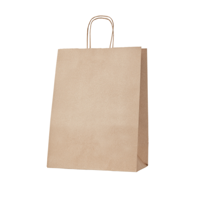 15 90gsm Large Kraft Gusseted Bag with Paper Twist Handles