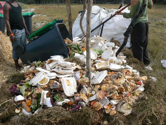 Compostable packaging for composting at RTD | GREEN HOME Compostable packaging for composting at RTD
