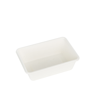 800ml Single Compartment Sugarcane Box