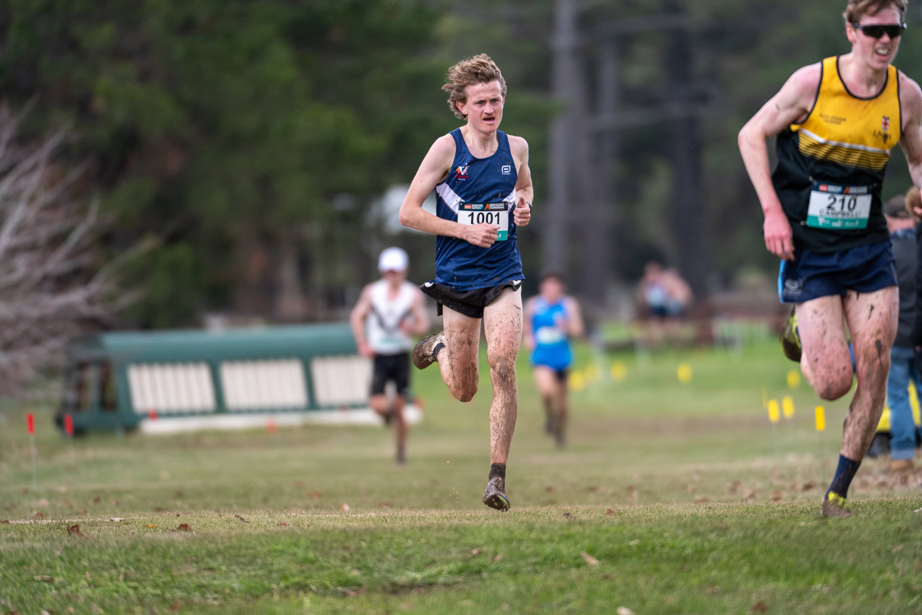 Australian-Cross-Country-Championships-2025-2749