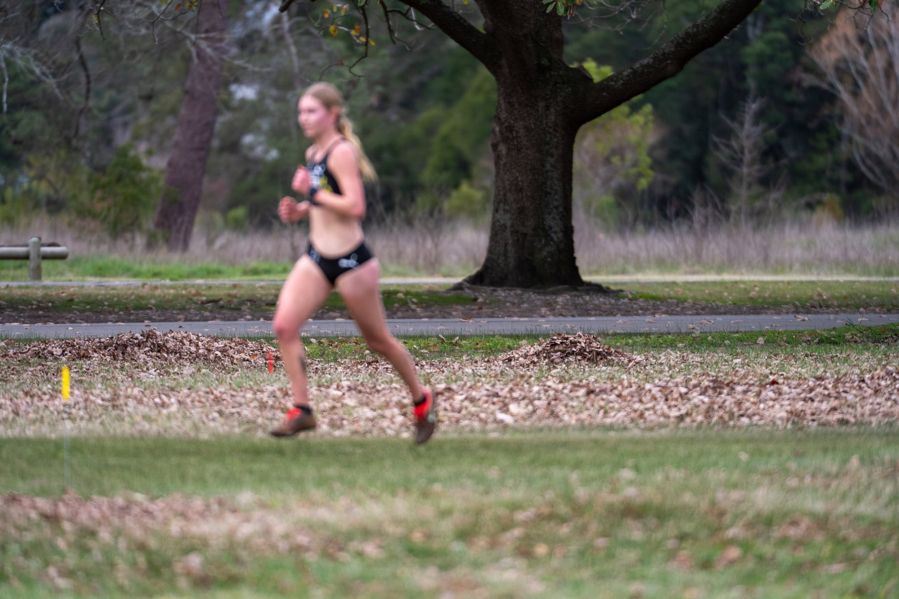 Australian-Cross-Country-Championships-2025-4059