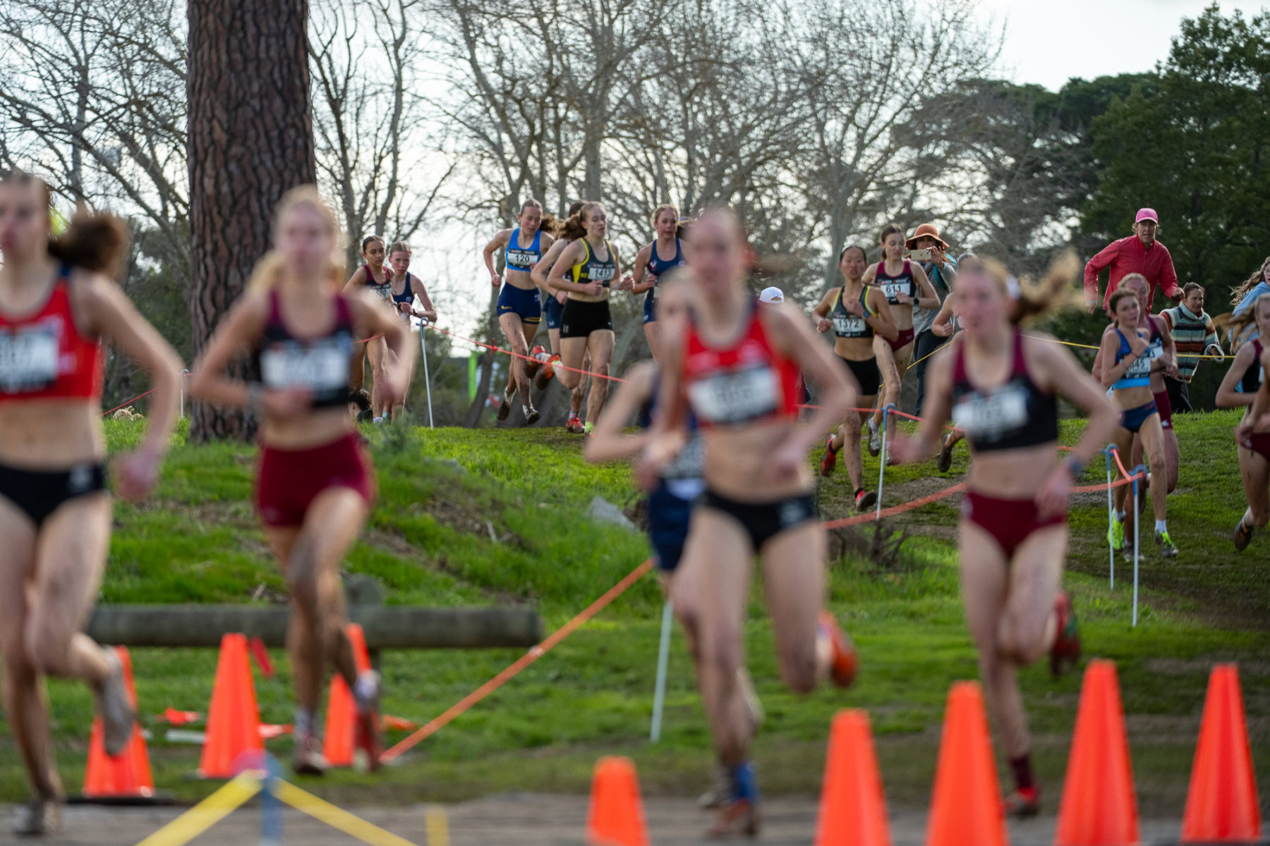 Australian-Cross-Country-Championships-2025-6033