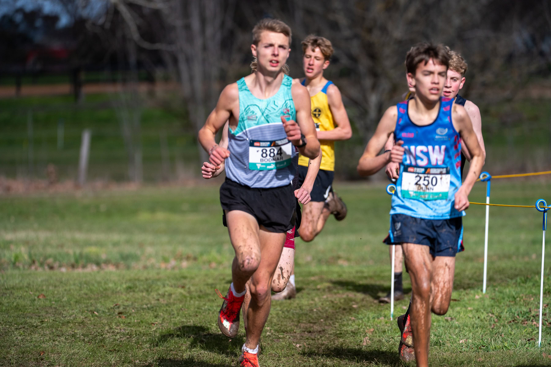 Australian-Cross-Country-Championships-2025-6890