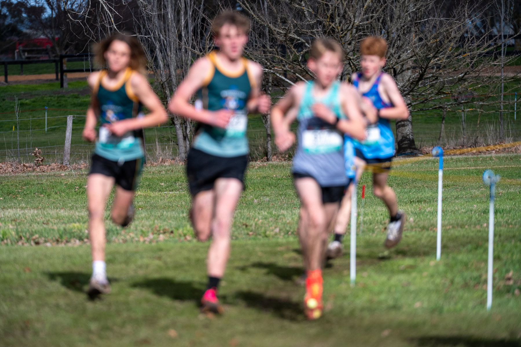 Australian-Cross-Country-Championships-2025-6938