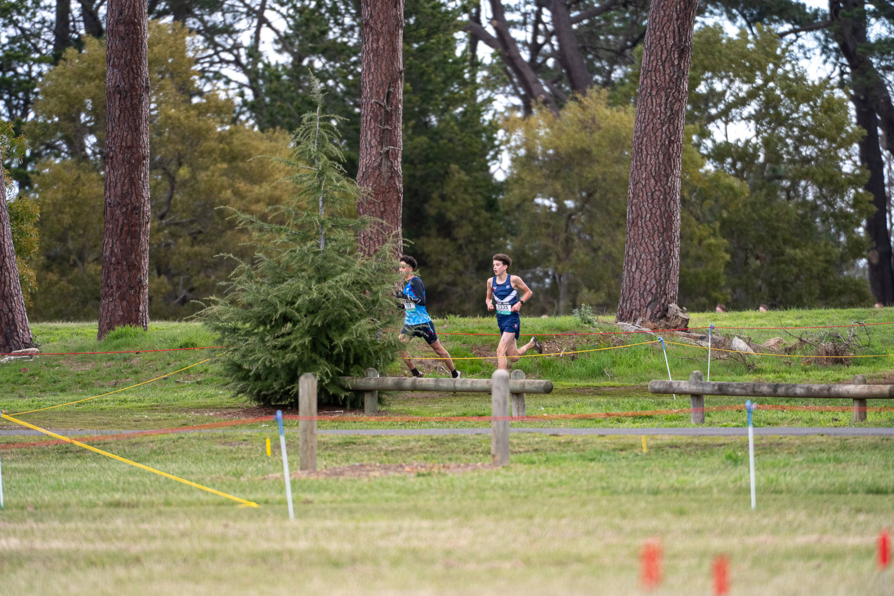 Australian-Cross-Country-Championships-2025-6997