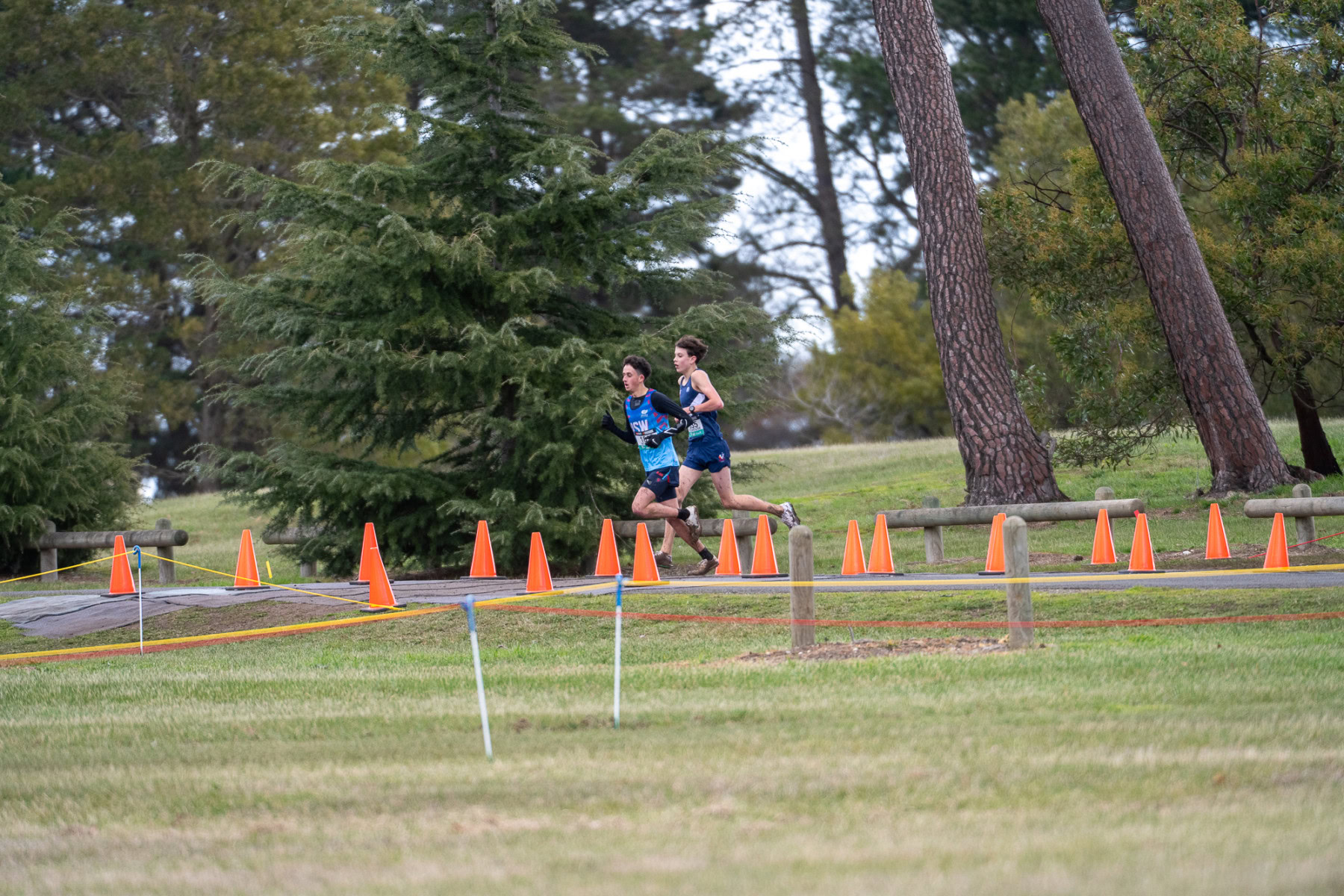 Australian-Cross-Country-Championships-2025-7004