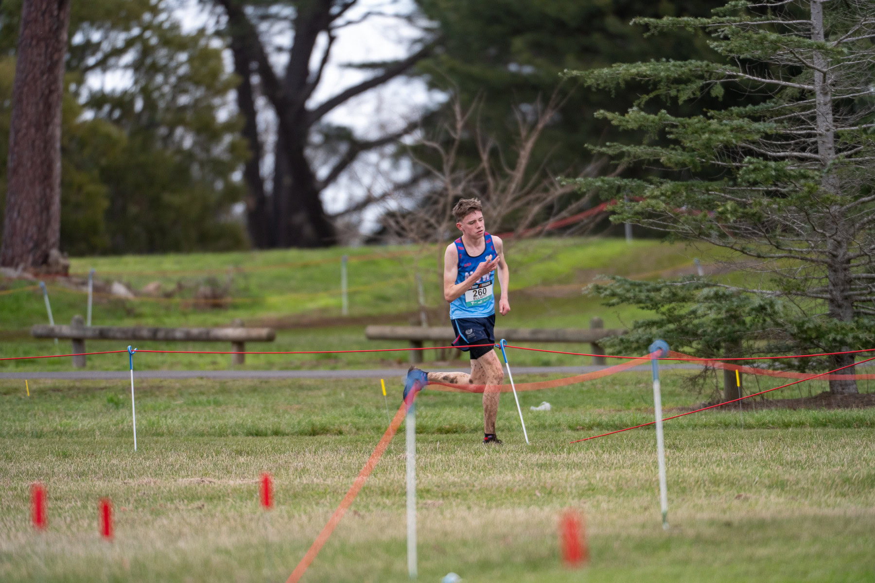 Australian-Cross-Country-Championships-2025-7399
