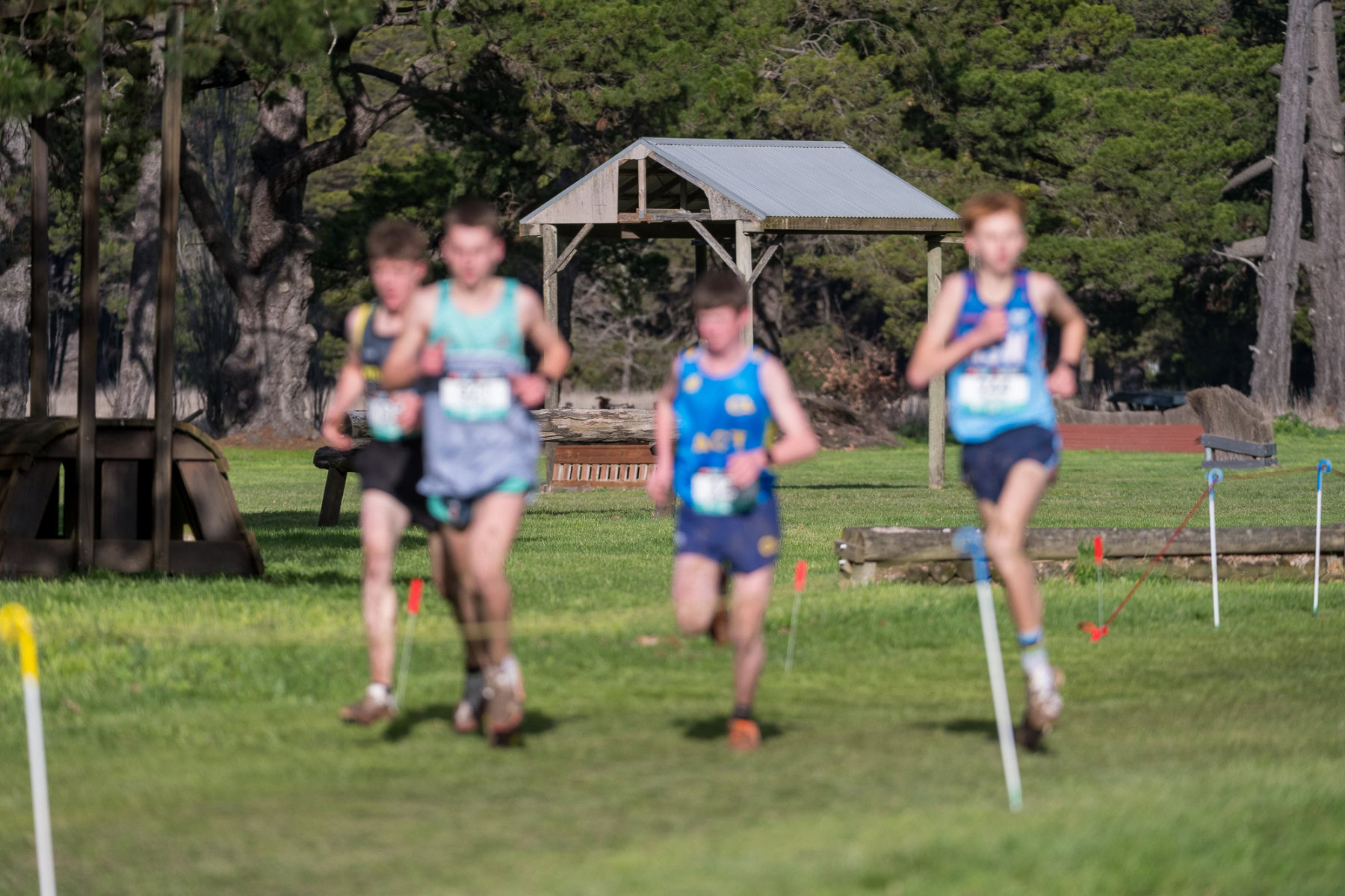 Australian-Cross-Country-Championships-2025x-0546
