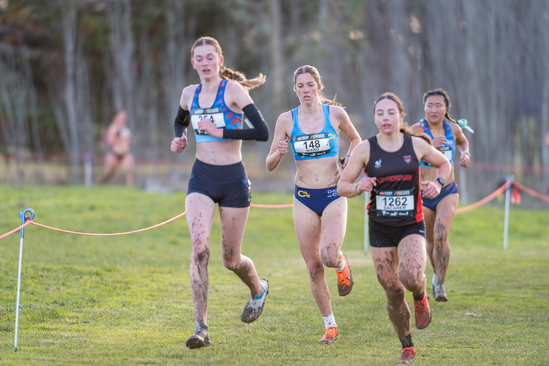 Australian-Cross-Country-Championships-2025x-2591