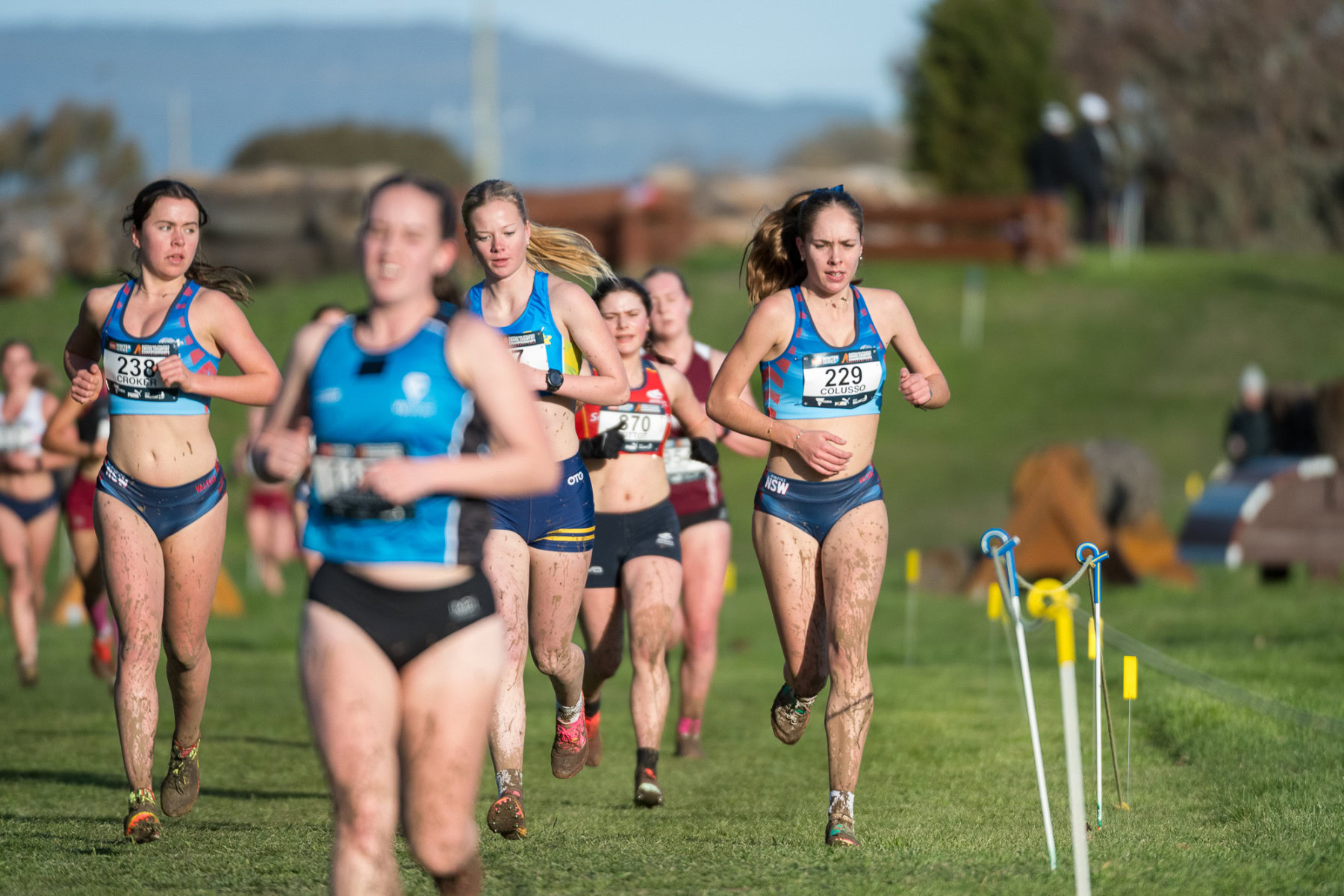 Australian-Cross-Country-Championships-2025x-3007