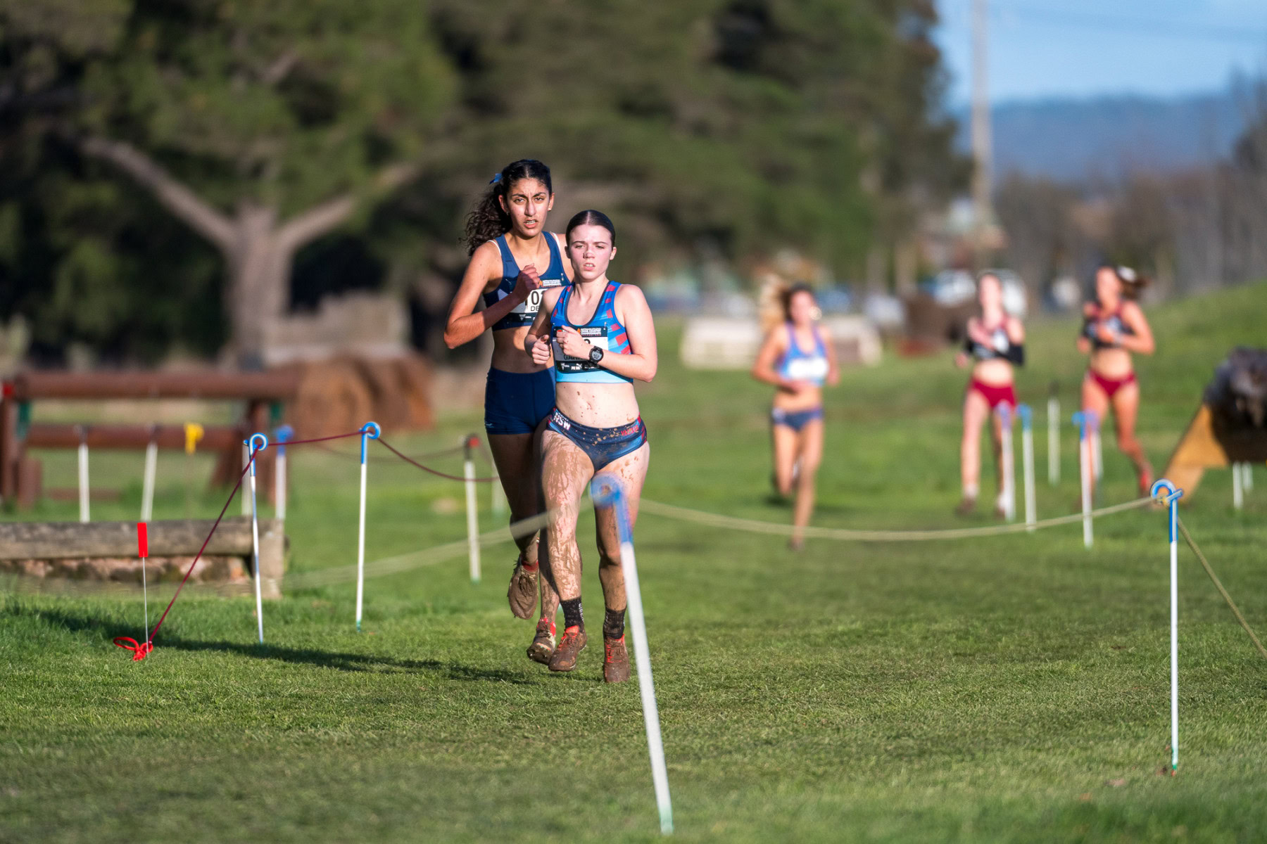 Australian-Cross-Country-Championships-2025x-3541