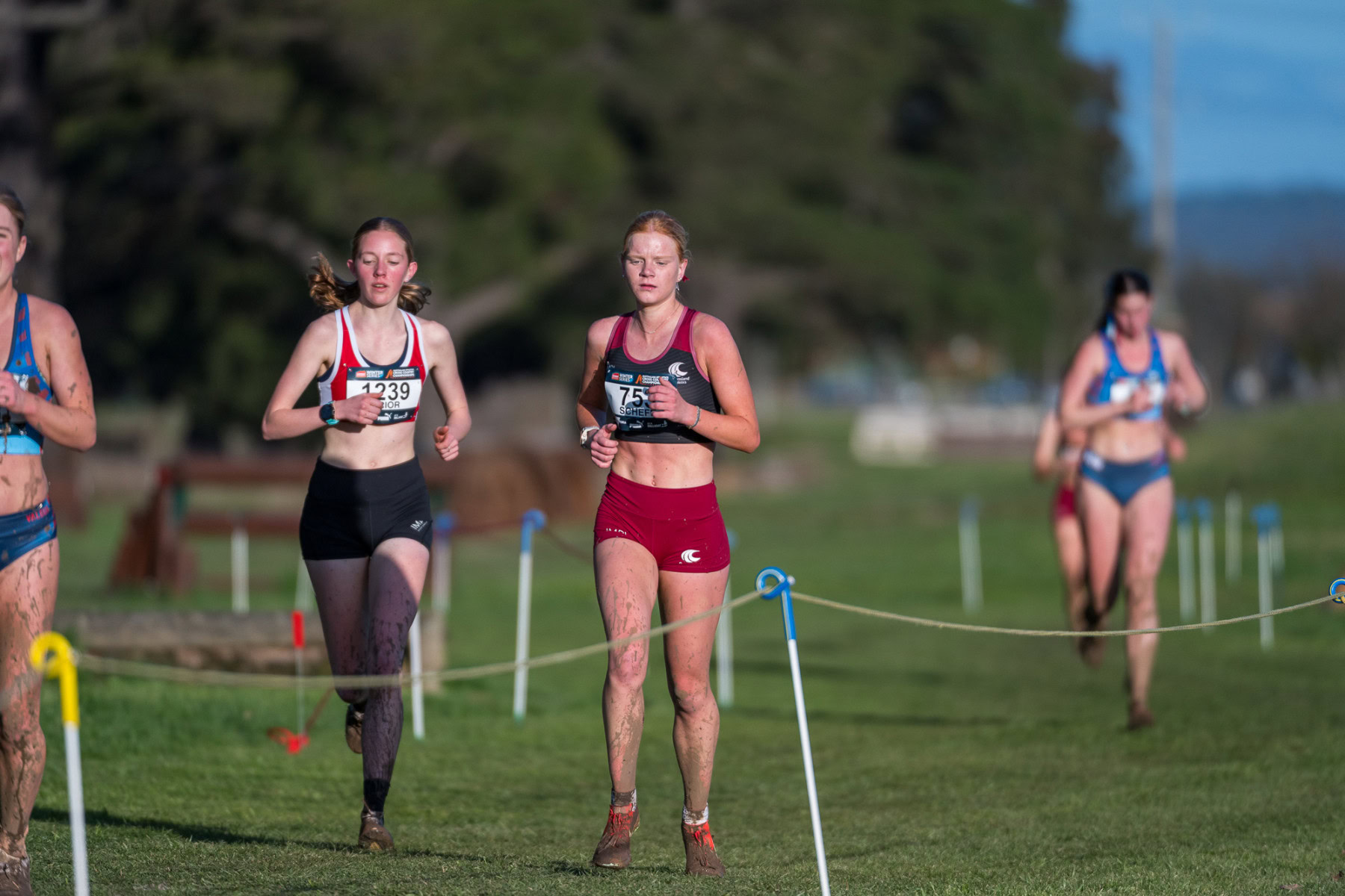 Australian-Cross-Country-Championships-2025x-3876