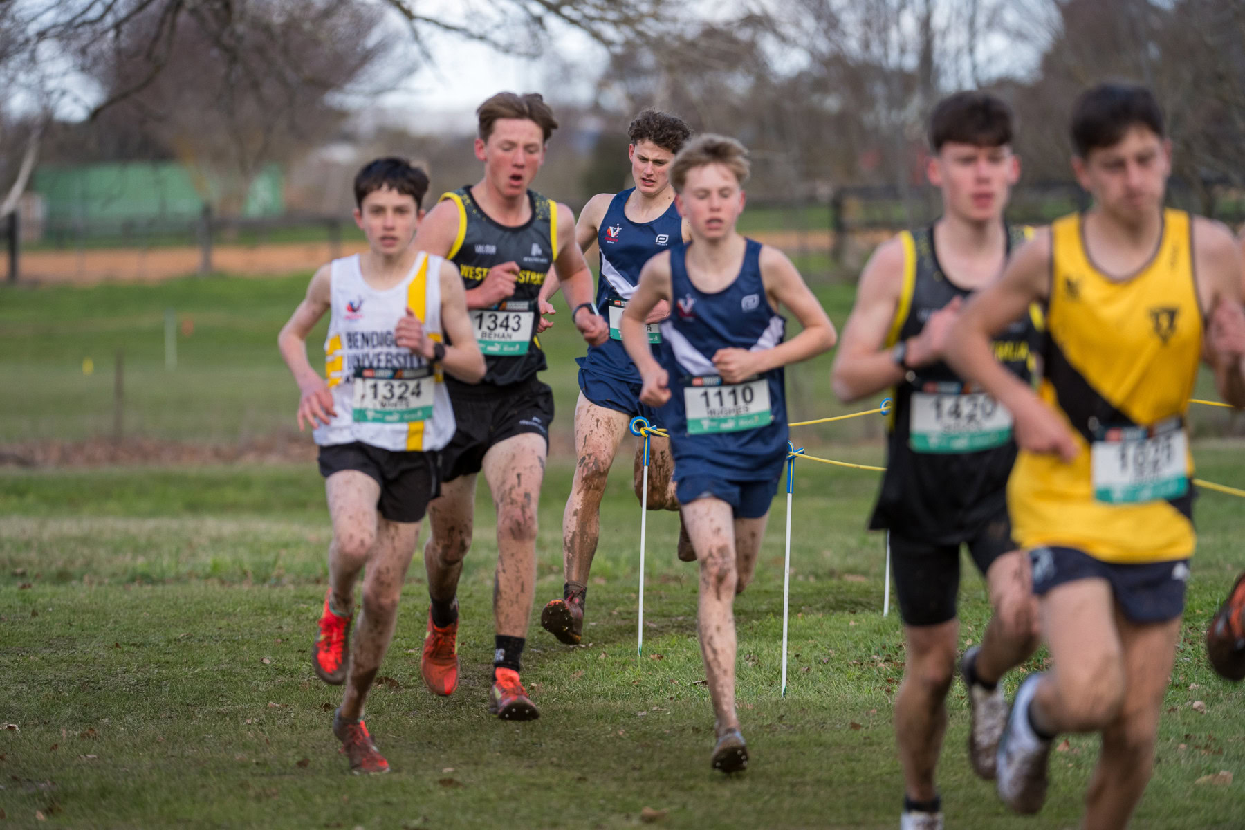 Australian-Cross-Country-Championships-2025x-8284