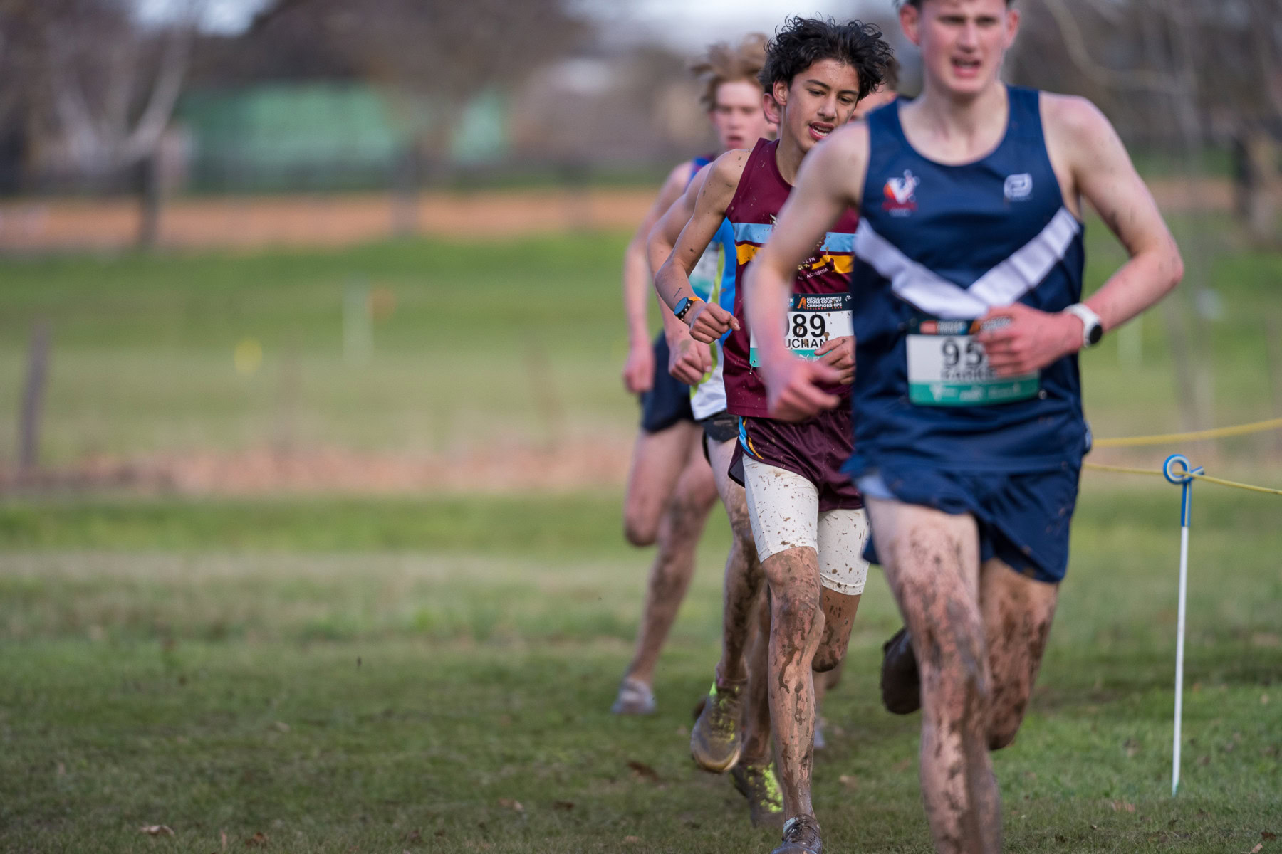 Australian-Cross-Country-Championships-2025x-8624