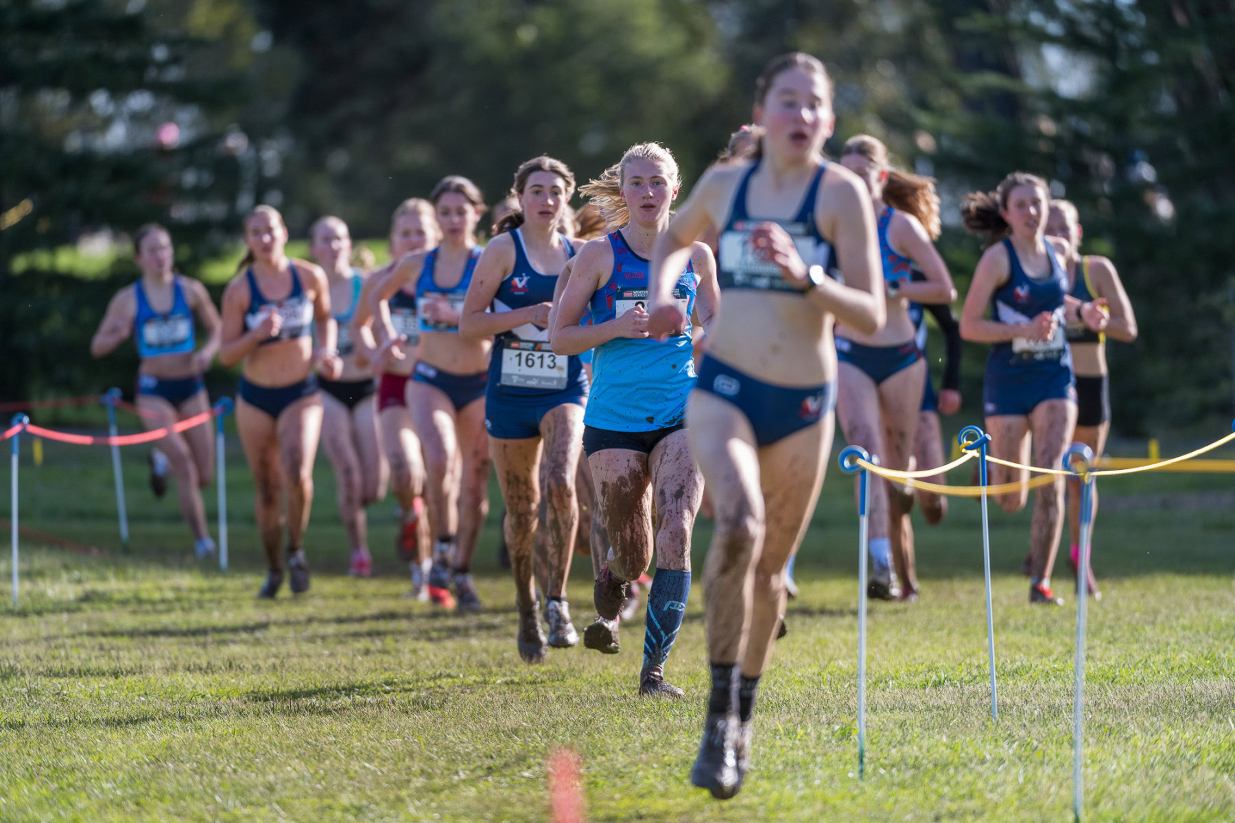 Australian-Cross-Country-Championships-2025x-8988