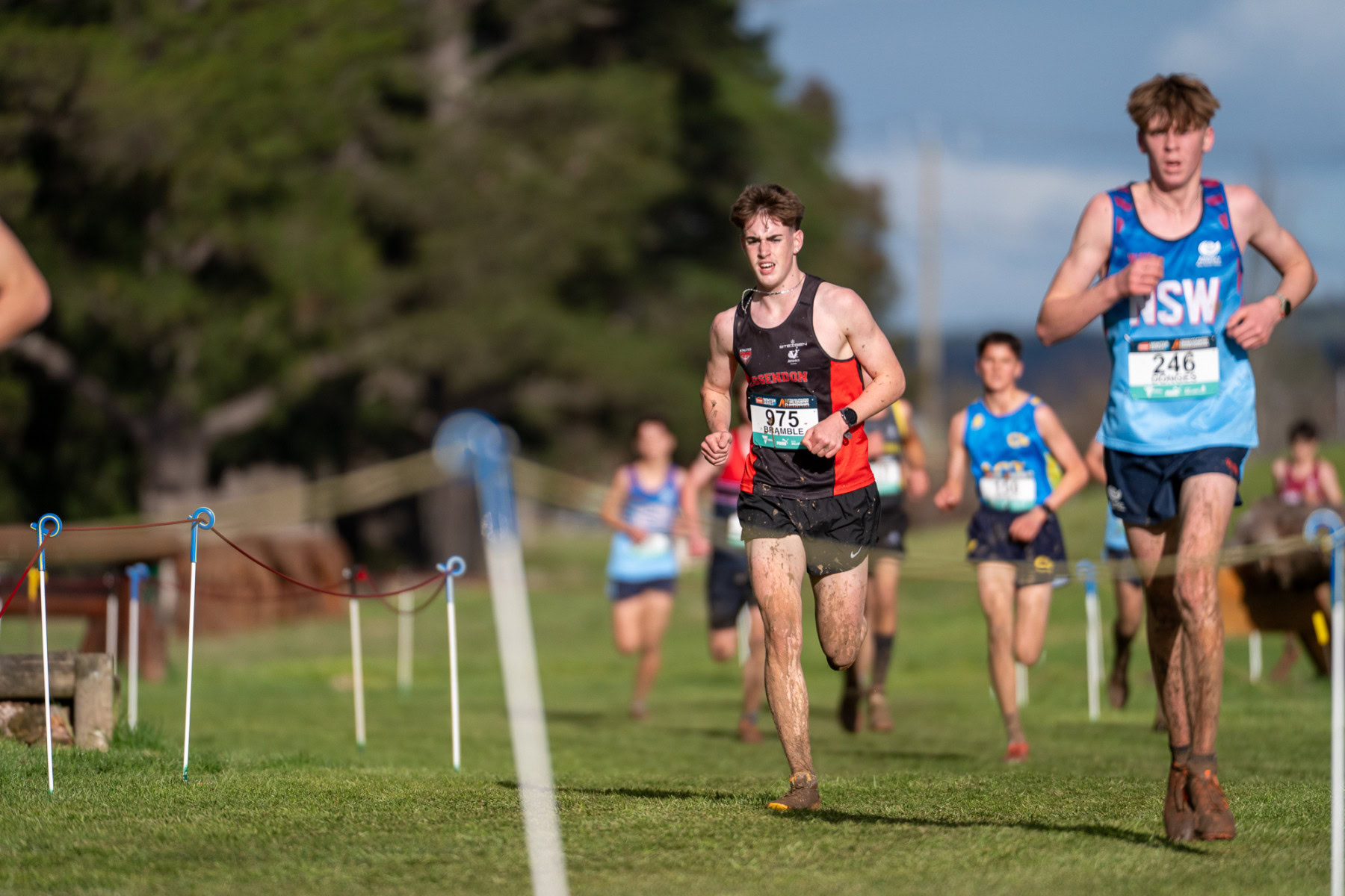 Australian-Cross-Country-Championshpis-2025z-0065