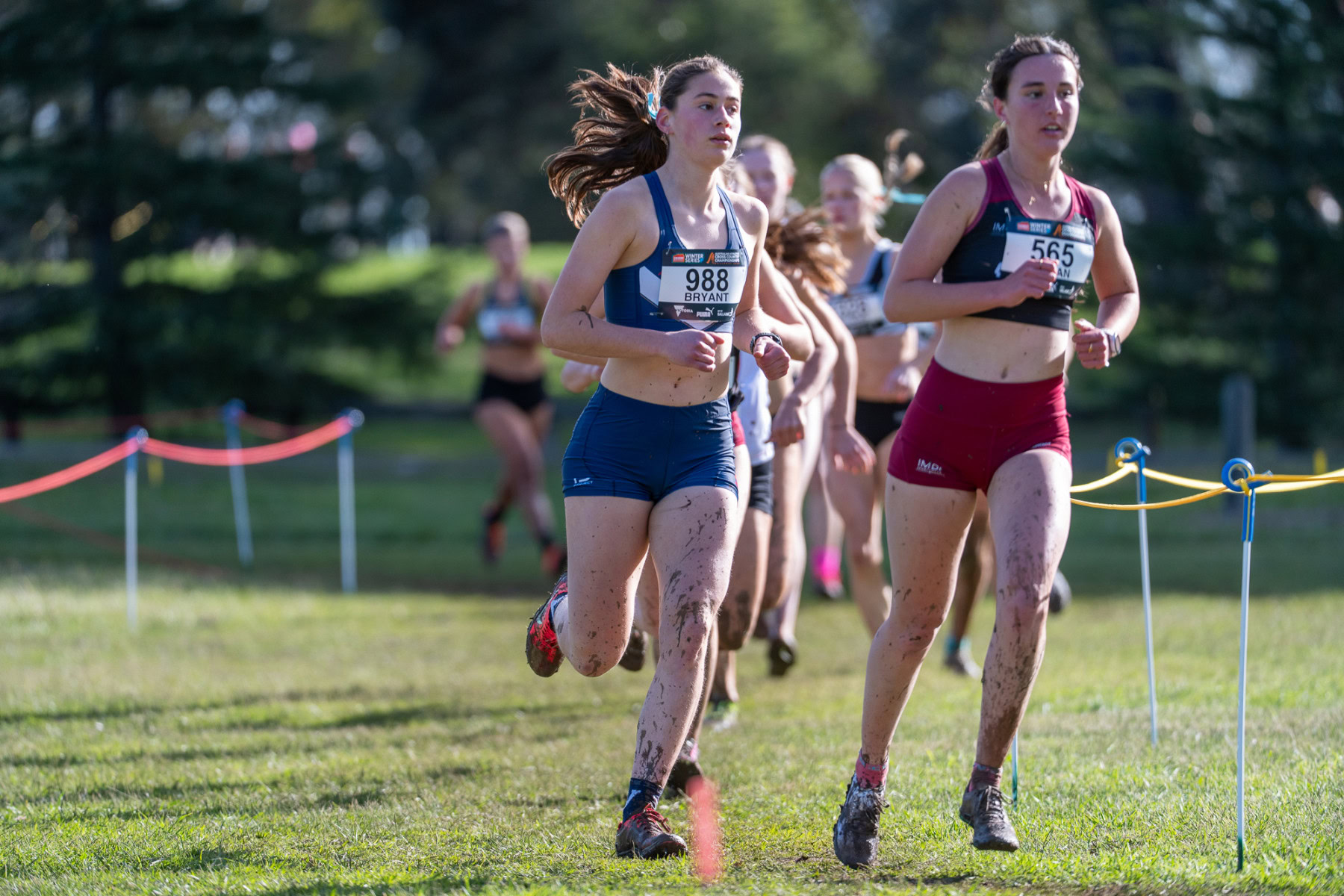 Australian-Cross-Country-Championshpis-2025z-0549