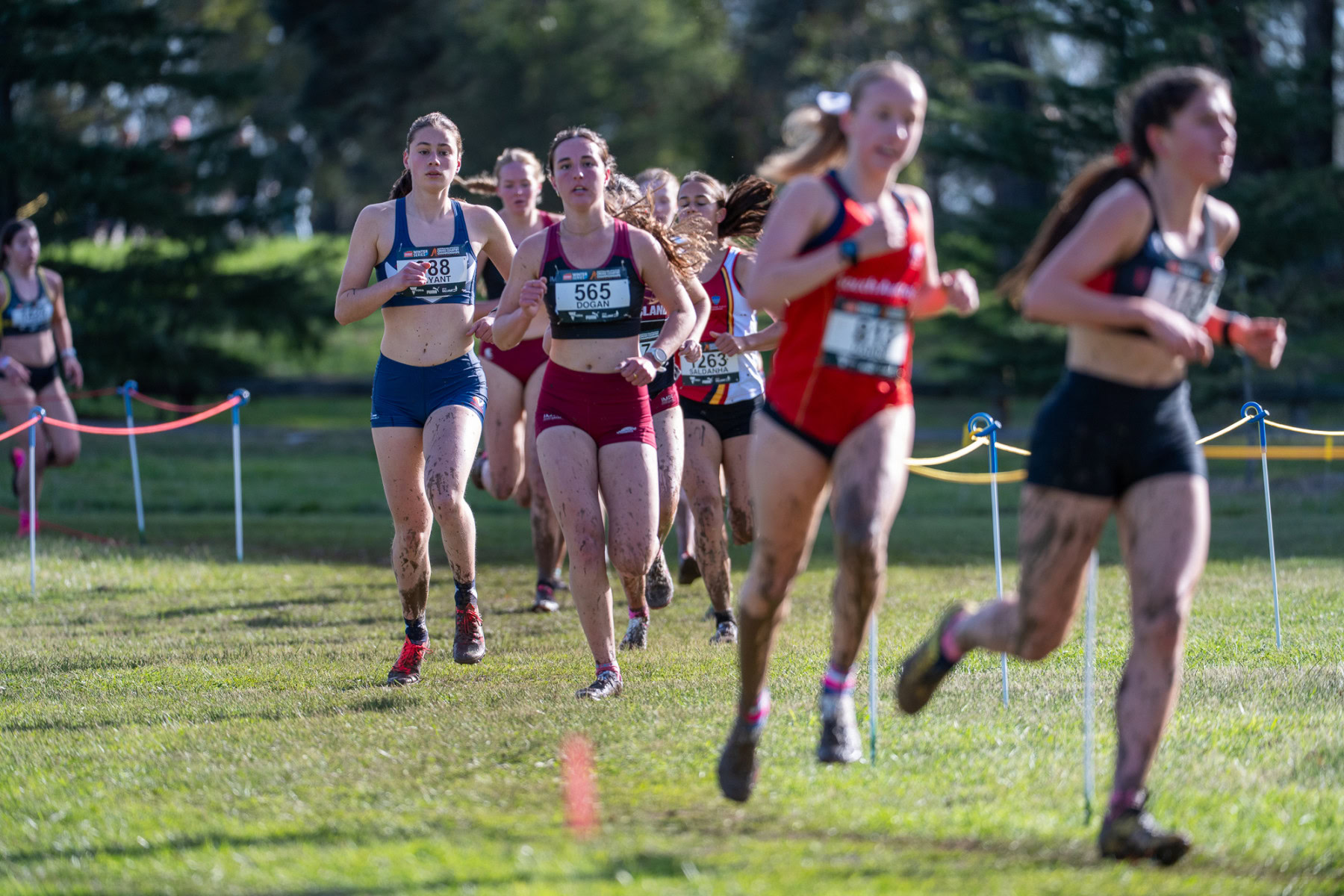 Australian-Cross-Country-Championshpis-2025z-0552