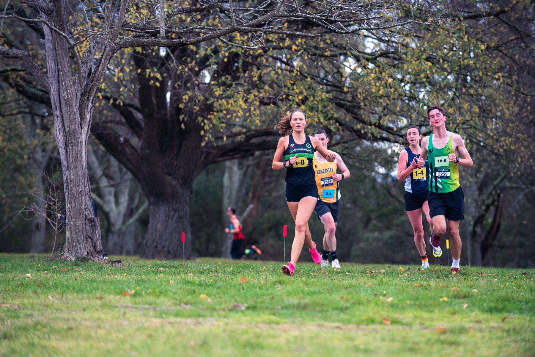Jells-Park-Relays-2025-0149
