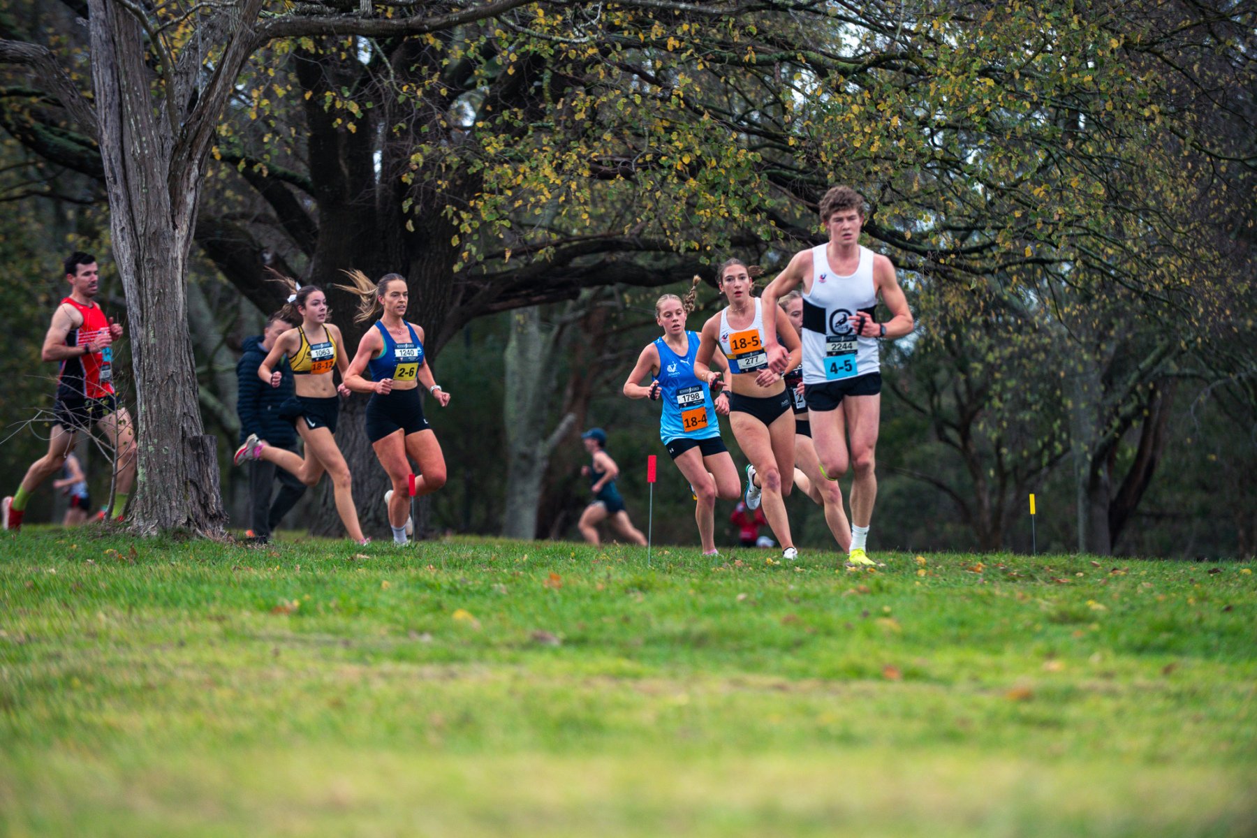 Jells-Park-Relays-2025-0318
