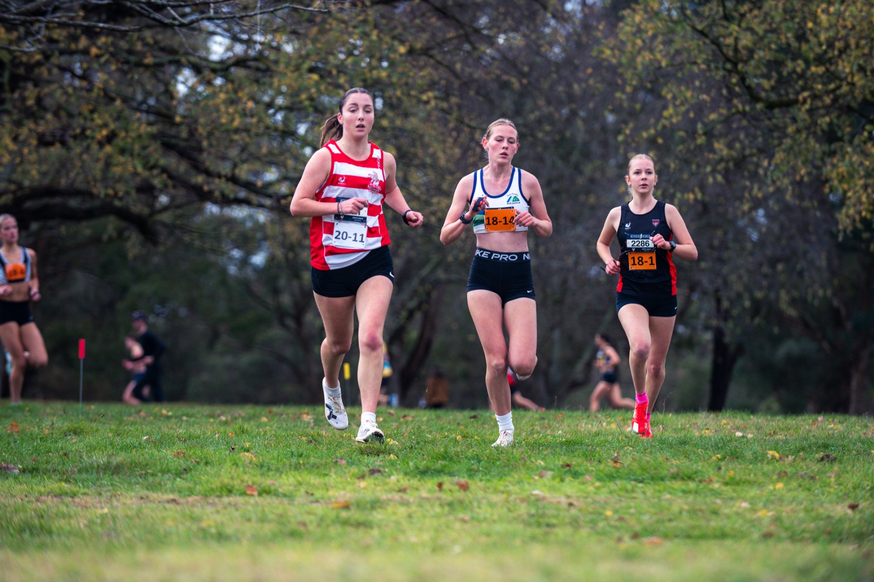 Jells-Park-Relays-2025-0380
