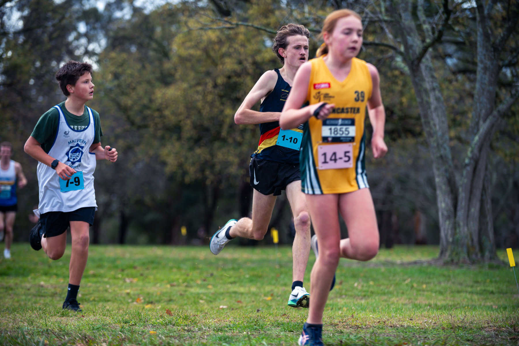 Jells-Park-Relays-2025-1055