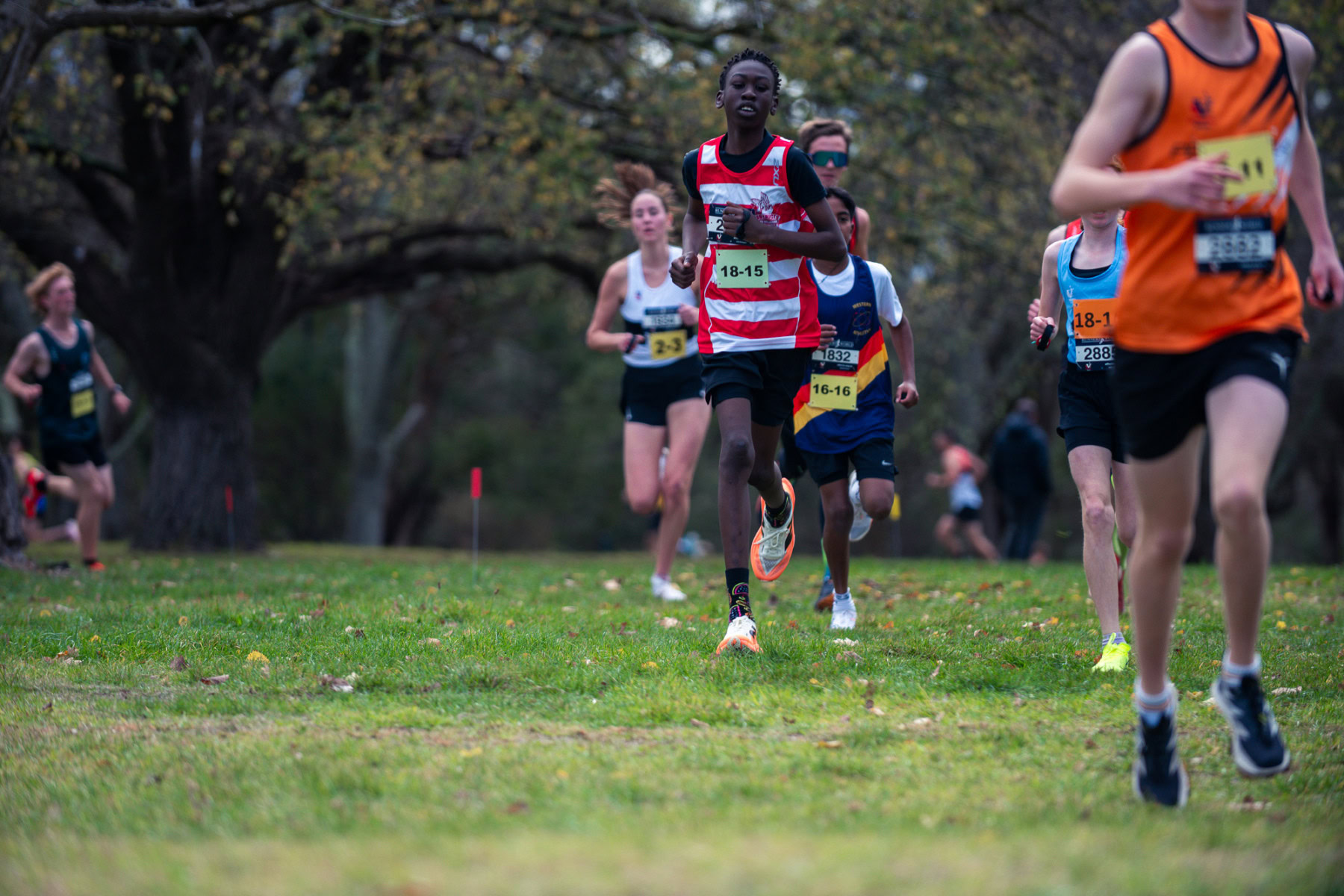 Jells-Park-Relays-2025-1236