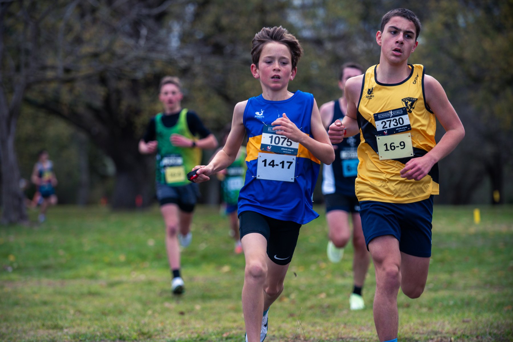 Jells-Park-Relays-2025-1269