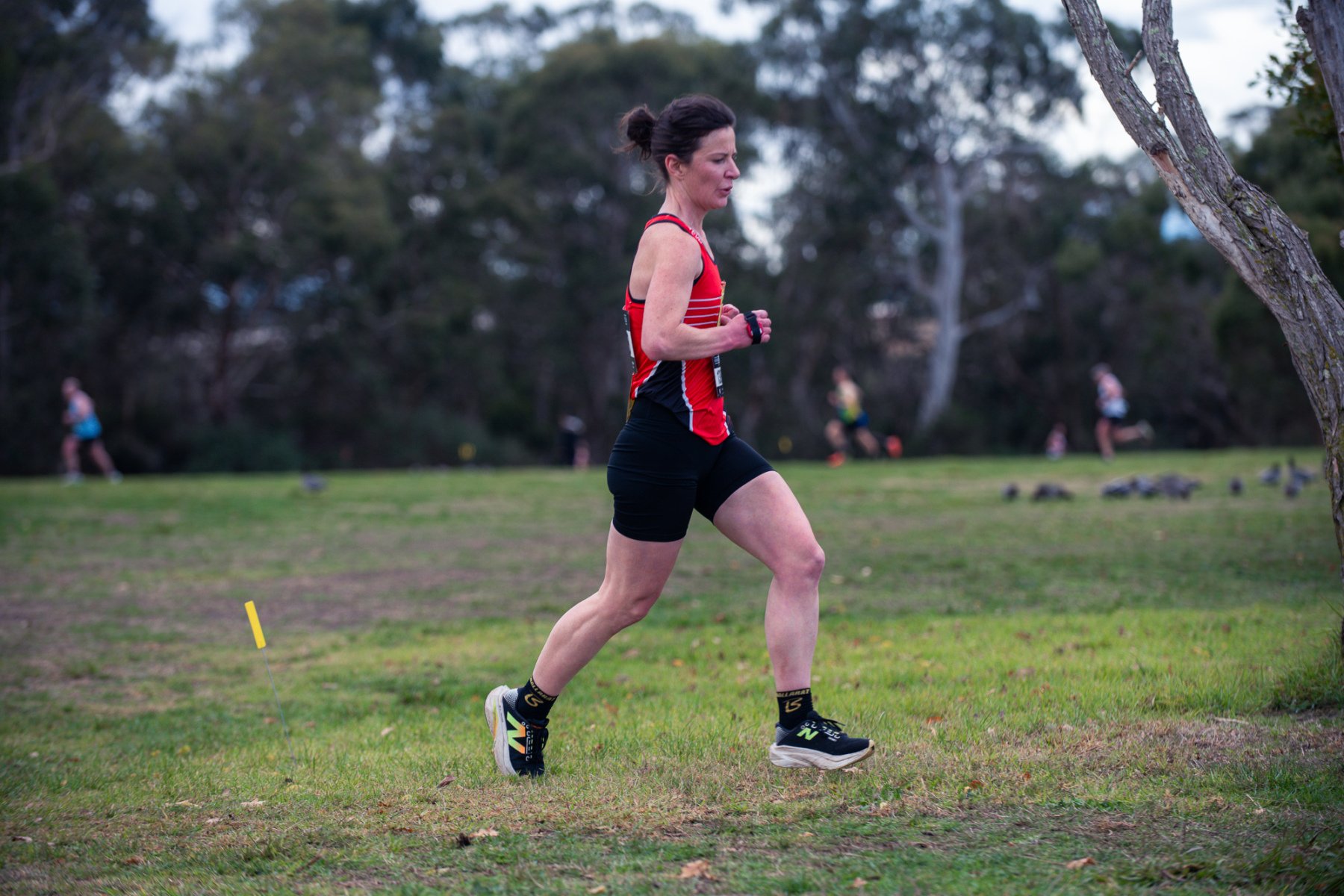 Jells-Park-Relays-2025-1479