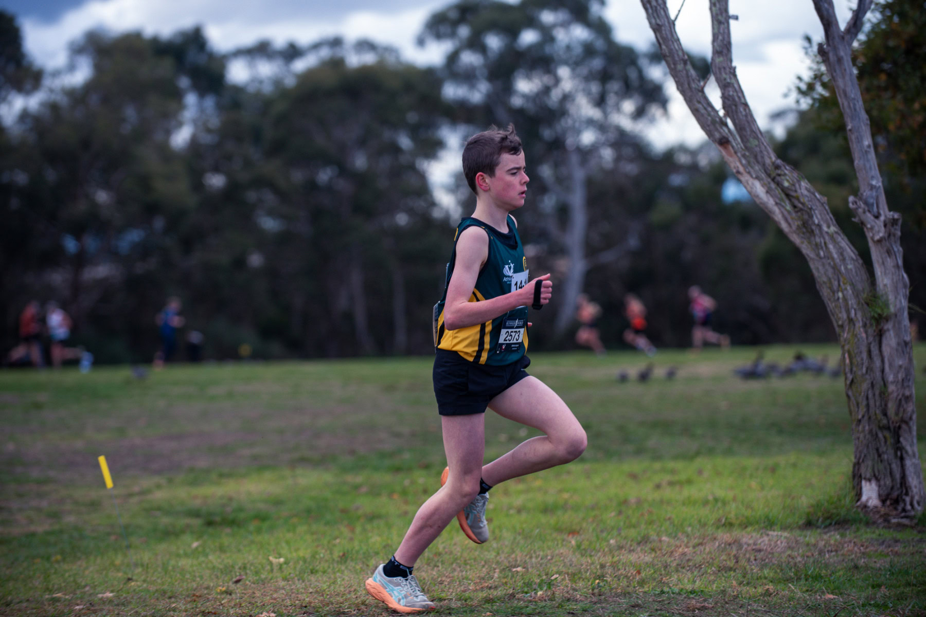 Jells-Park-Relays-2025-1482