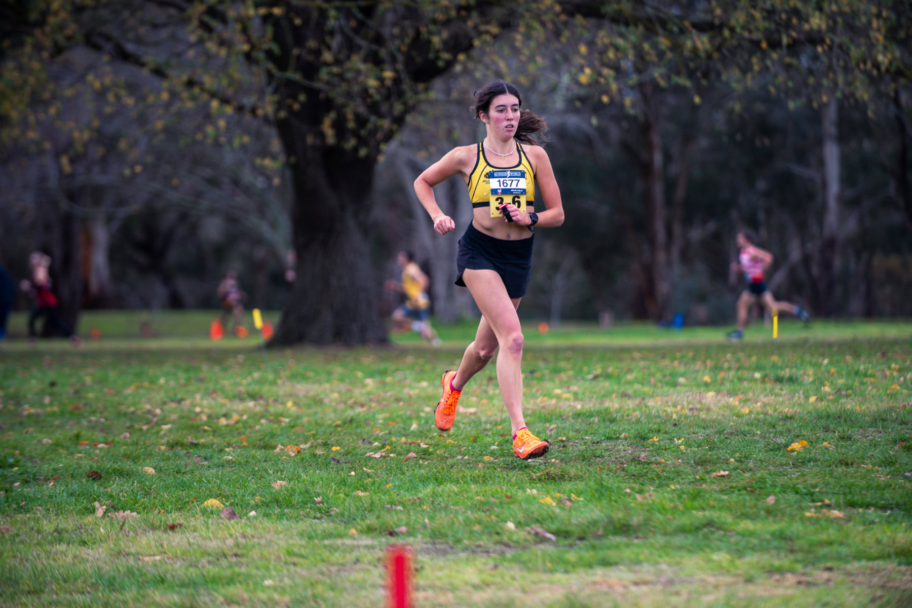 Jells-Park-Relays-2025-1531