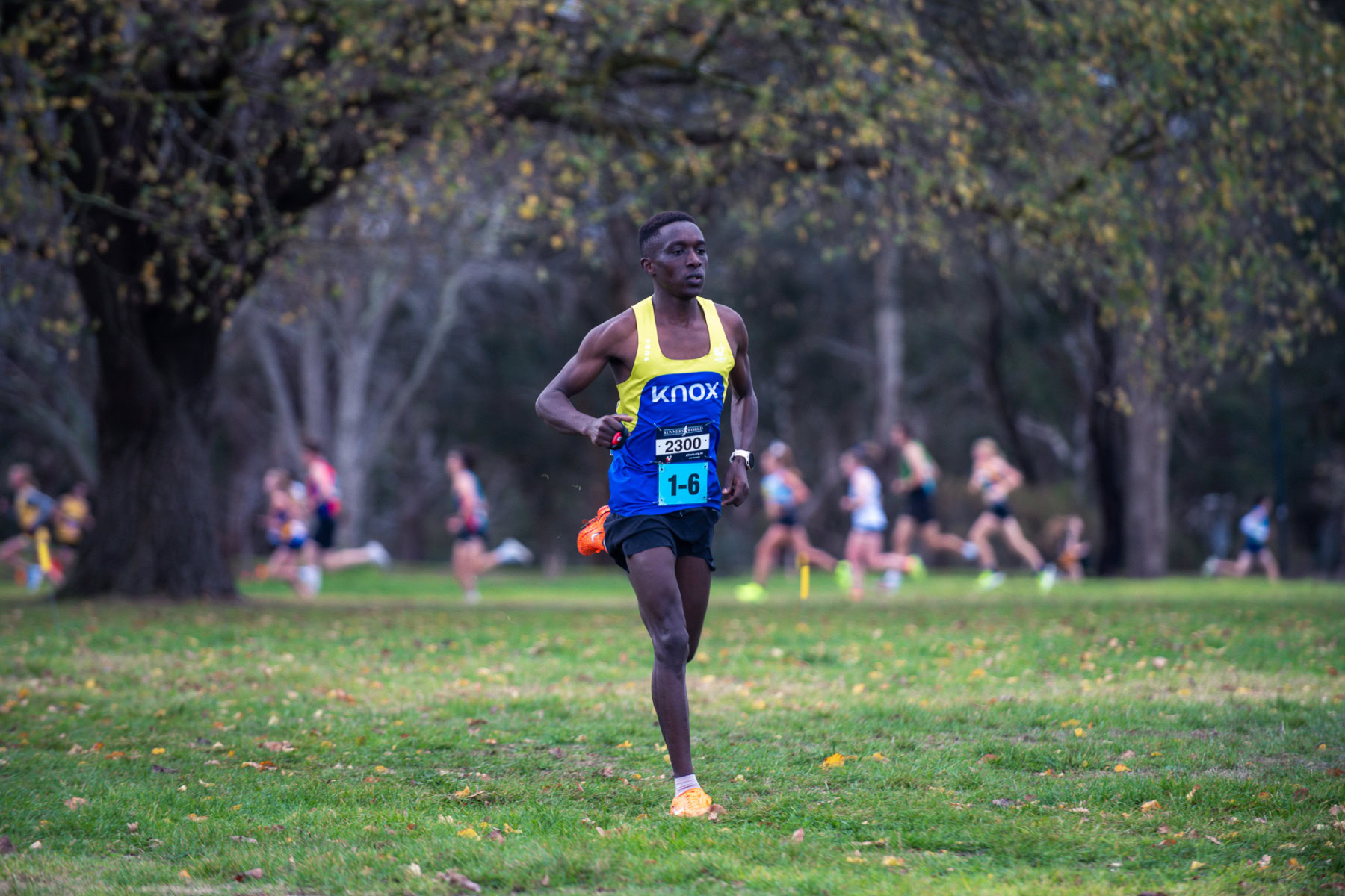 Jells-Park-Relays-2025-1580