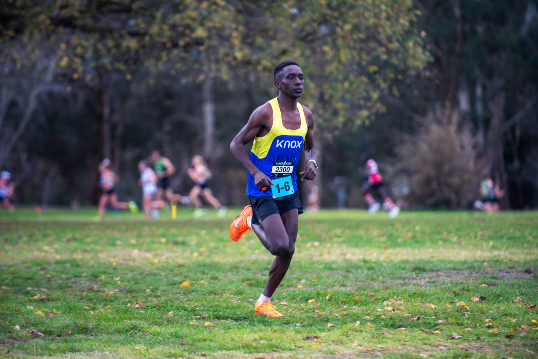 Jells-Park-Relays-2025-1583