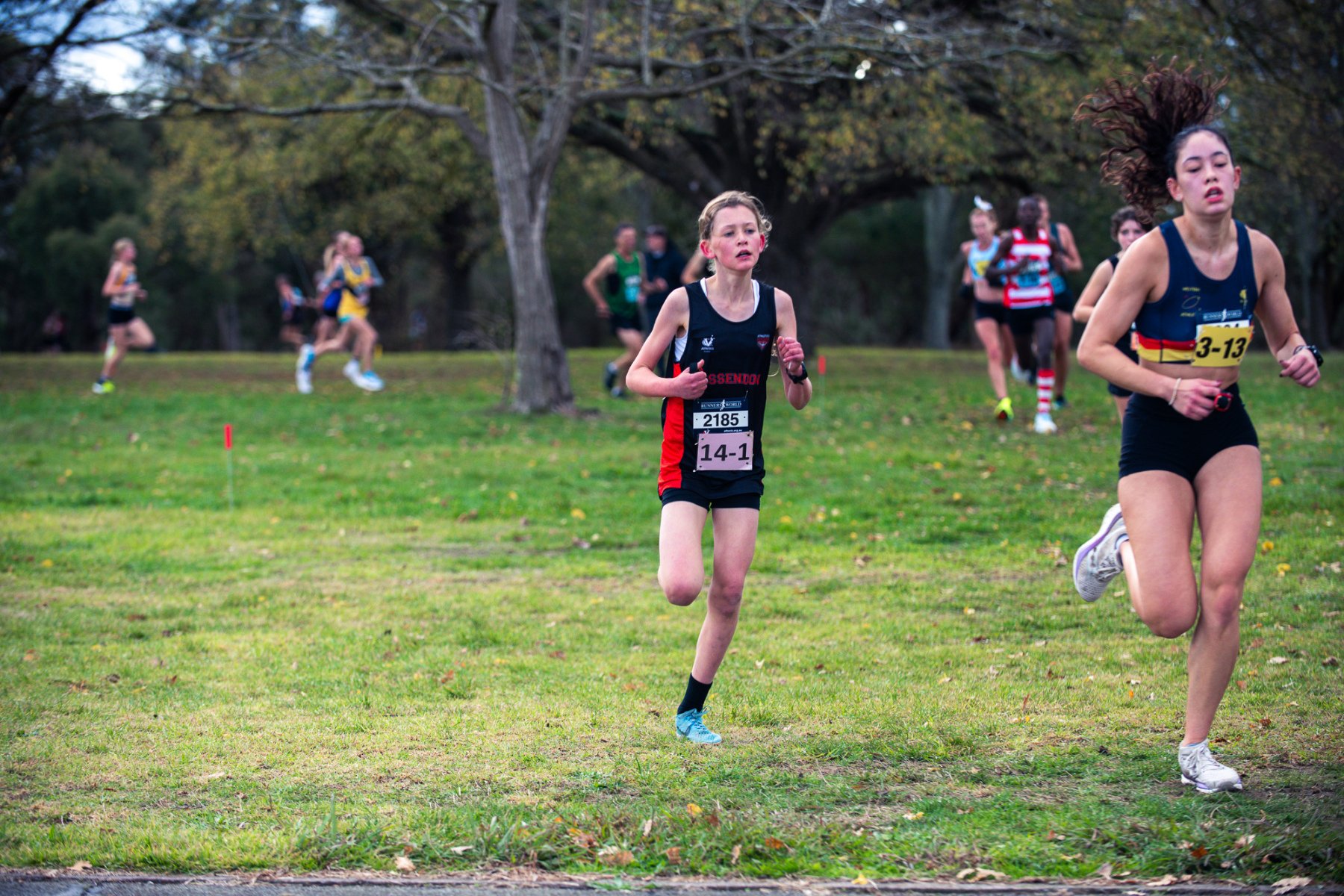 Jells-Park-Relays-2025-1709