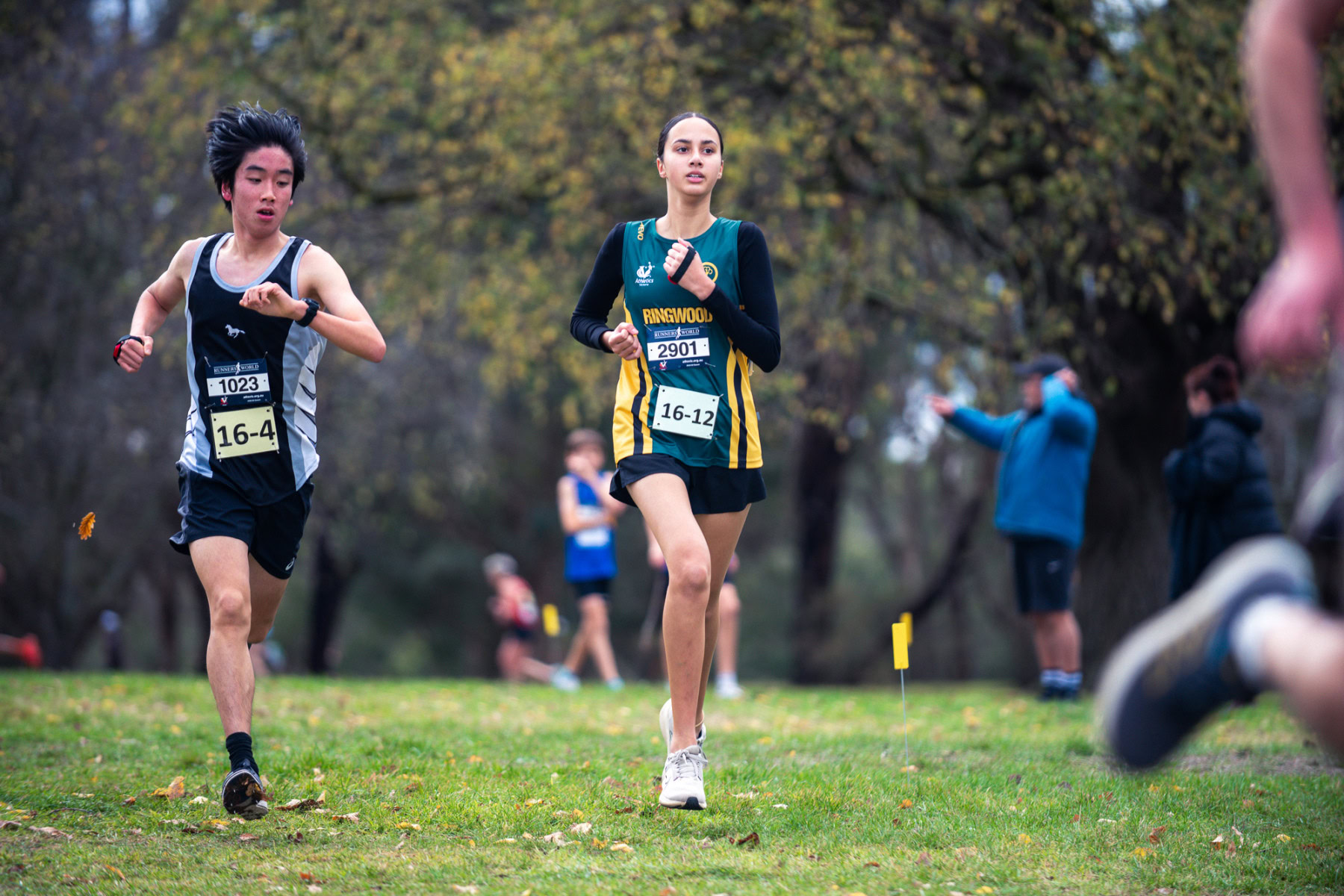 Jells-Park-Relays-2025-2016