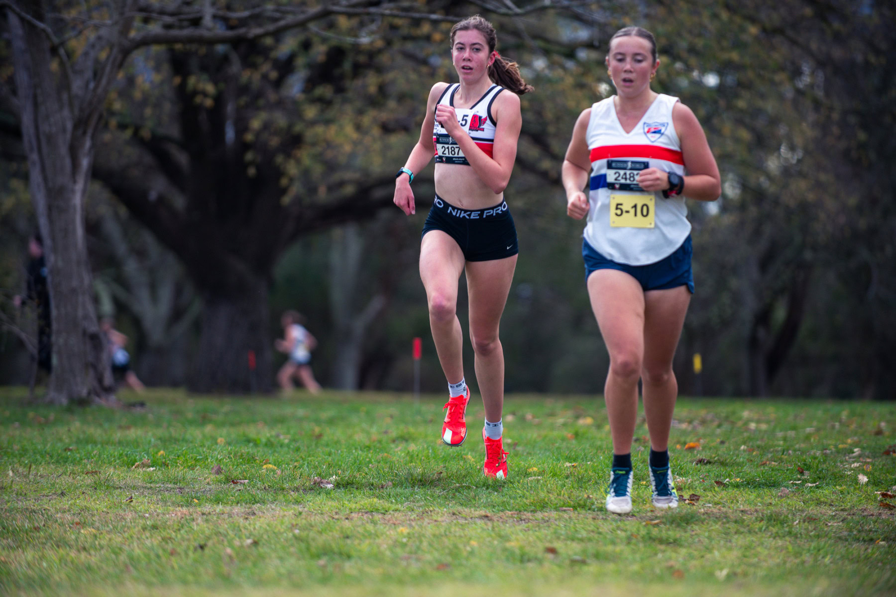 Jells-Park-Relays-2025-2034