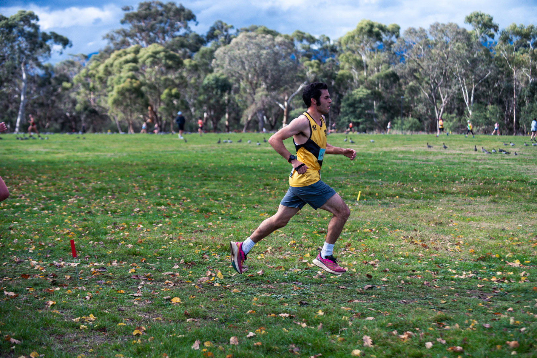 Jells-Park-Relays-2025-2306