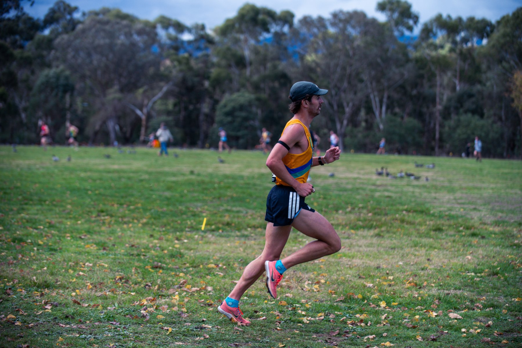 Jells-Park-Relays-2025-2339