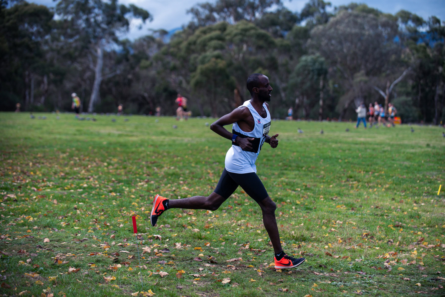 Jells-Park-Relays-2025-2347