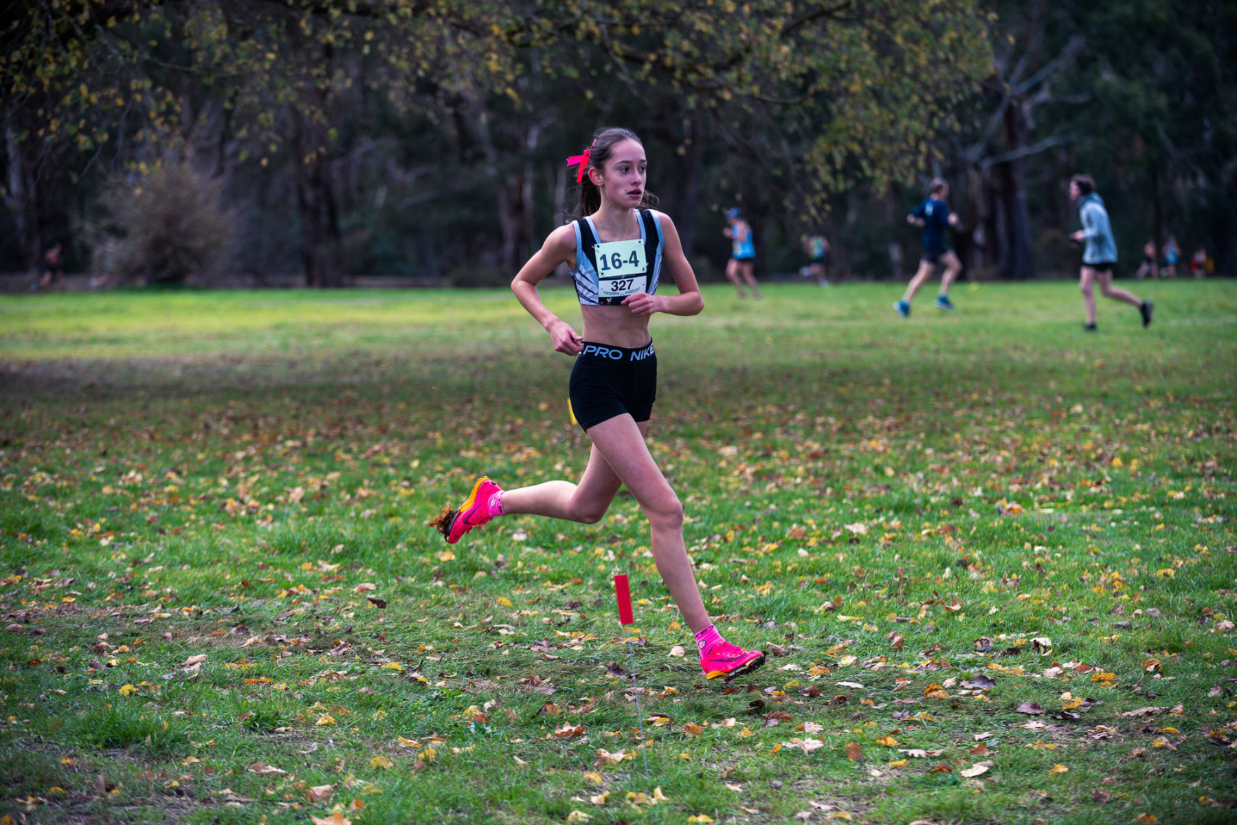 Jells-Park-Relays-2025-2372