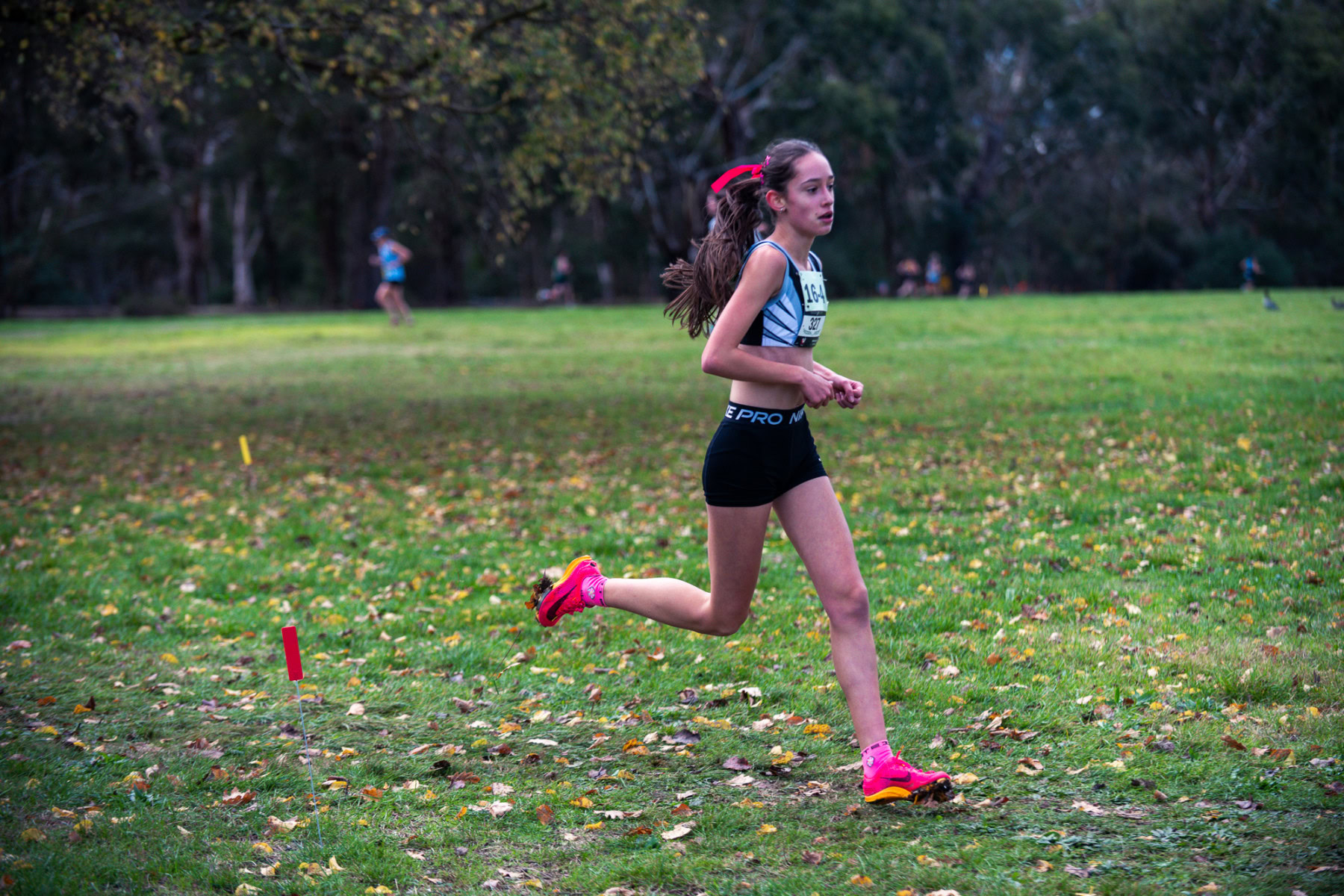 Jells-Park-Relays-2025-2375
